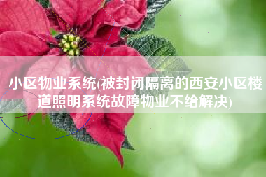 小区物业系统(被封闭隔离的西安小区楼道照明系统故障物业不给解决)