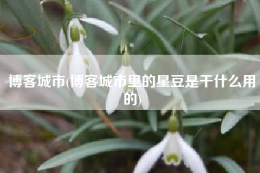 博客城市(博客城市里的星豆是干什么用的)
