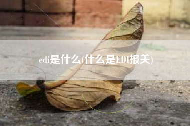 edi是什么(什么是EDI报关)