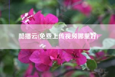 酷播云(免费上传视频哪里好)