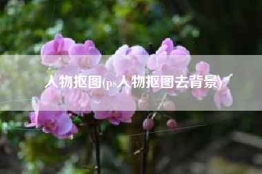 人物抠图(ps人物抠图去背景)