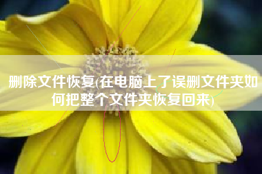 删除文件恢复(在电脑上了误删文件夹如何把整个文件夹恢复回来)