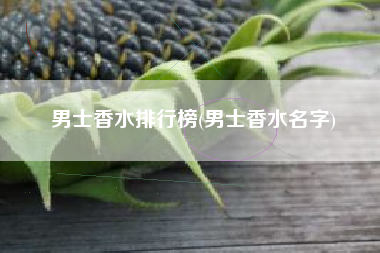 男士香水排行榜(男士香水名字)