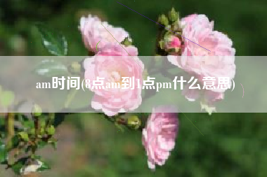 am时间(8点am到1点pm什么意思)