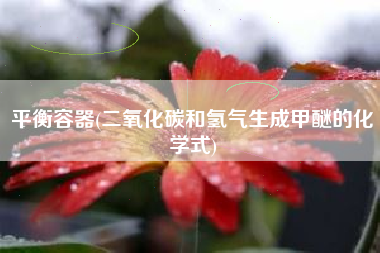 平衡容器(二氧化碳和氢气生成甲醚的化学式)