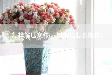 怎样解压文件(一键解压怎么操作)