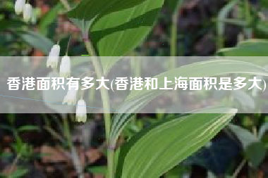 香港面积有多大(香港和上海面积是多大)