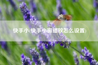 快手小(快手小窗播放怎么设置)