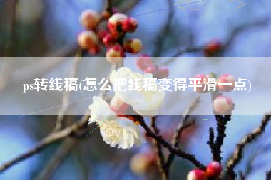ps转线稿(怎么把线稿变得平滑一点)