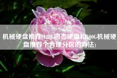 机械硬盘推荐(128G固态硬盘和500G机械硬盘推荐个合理分区的方法)