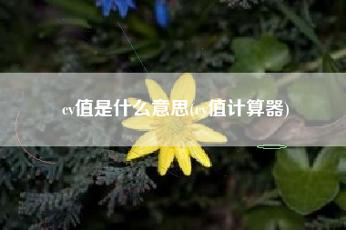 cv值是什么意思(cv值计算器)