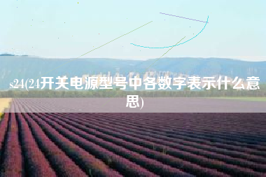 s24(24开关电源型号中各数字表示什么意思)