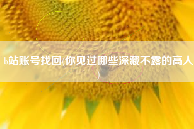 b站账号找回(你见过哪些深藏不露的高人)