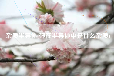 杂质半导体(砷在半导体中是什么杂质)