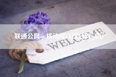 联通公网ip(移动可以改公网ip吗)