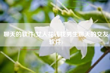 聊天的软件(女人花钱找男生聊天的交友软件)