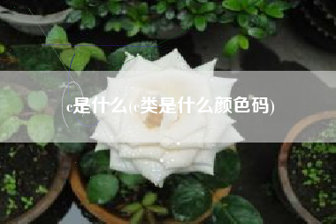 c是什么(c类是什么颜色码)