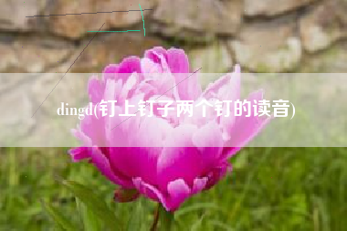 dingd(钉上钉子两个钉的读音)