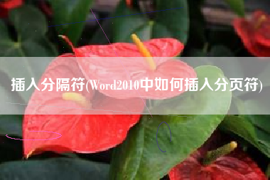 插入分隔符(Word2010中如何插入分页符)