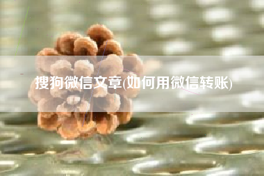 搜狗微信文章(如何用微信转账)