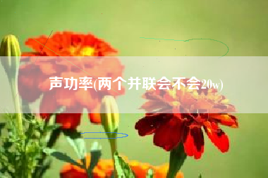 声功率(两个并联会不会20w)