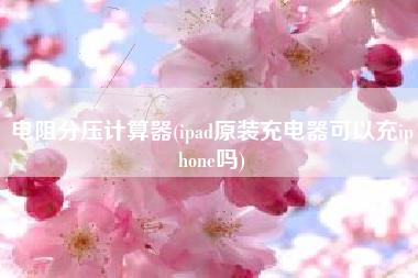 电阻分压计算器(ipad原装充电器可以充iphone吗)