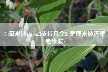 5g毫米波(iqooz3支持几个5g是厘米波还是毫米波)