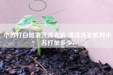 小苏打白醋清洗洗衣机(清洗洗衣机时小苏打加多少)