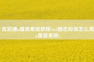 优启通u盘装系统教程(m2固态应该怎么用u盘装系统)