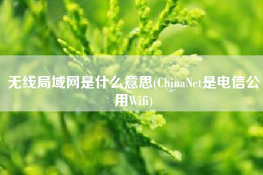 无线局域网是什么意思(ChinaNet是电信公用Wifi)