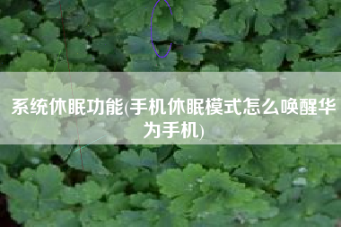 系统休眠功能(手机休眠模式怎么唤醒华为手机)