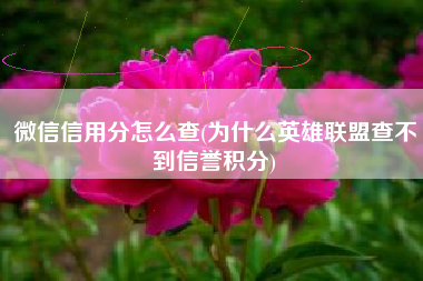 微信信用分怎么查(为什么英雄联盟查不到信誉积分)