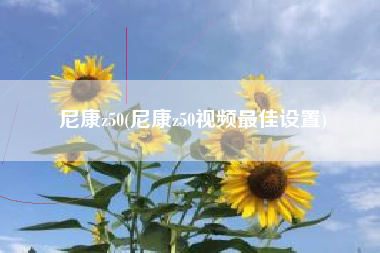 尼康z50(尼康z50视频最佳设置)