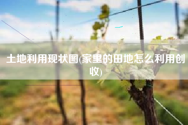土地利用现状图(家里的田地怎么利用创收)