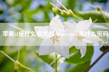 苹果id是什么格式的(itunesstore是什么密码)