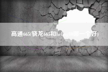 高通665(骁龙665和heliog80哪一个好)