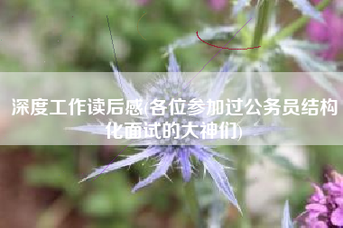 深度工作读后感(各位参加过公务员结构化面试的大神们)
