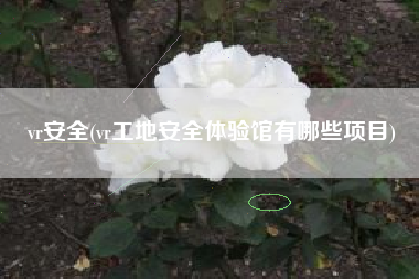 vr安全(vr工地安全体验馆有哪些项目)