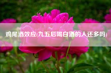 鸡尾酒效应(九五后喝白酒的人还多吗)