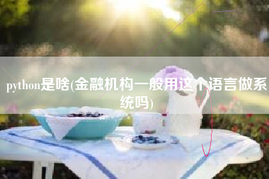 python是啥(金融机构一般用这个语言做系统吗)
