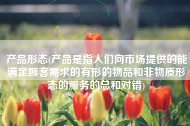 产品形态(产品是指人们向市场提供的能满足顾客需求的有形的物品和非物质形态的服务的总和对错)