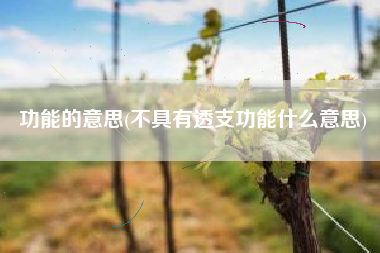 功能的意思(不具有透支功能什么意思)