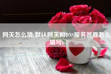 网关怎么填(默认网关和DNS服务器要怎么填写)