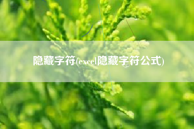 隐藏字符(excel隐藏字符公式)