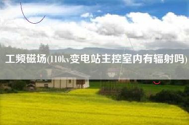 工频磁场(110kv变电站主控室内有辐射吗)