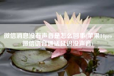 微信消息没有声音是怎么回事(苹果14pro微信语音通话延迟没声音)
