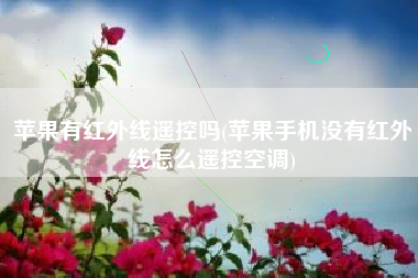 苹果有红外线遥控吗(苹果手机没有红外线怎么遥控空调)