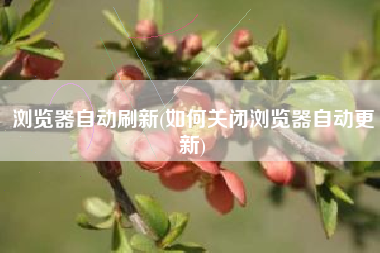 浏览器自动刷新(如何关闭浏览器自动更新)