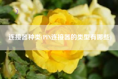 连接器种类(PIN连接器的类型有哪些)