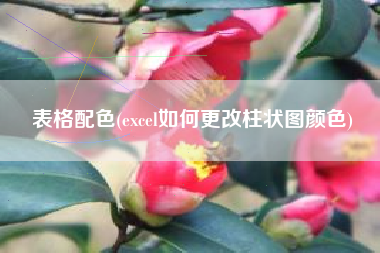 表格配色(excel如何更改柱状图颜色)